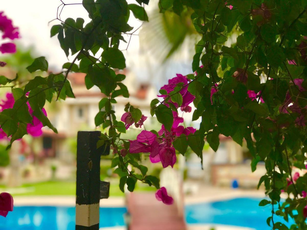 Lale Apartments Fethiye Ngoại thất bức ảnh